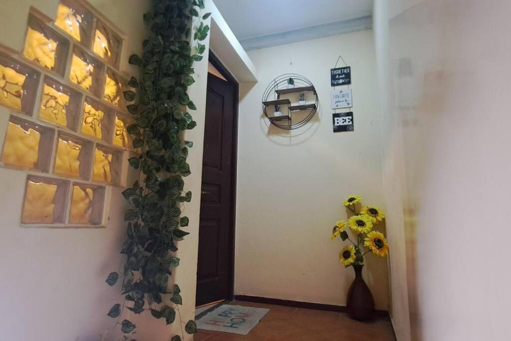 Mendes Family Homestay - B&B In The Heart Of Praia Exterior photo