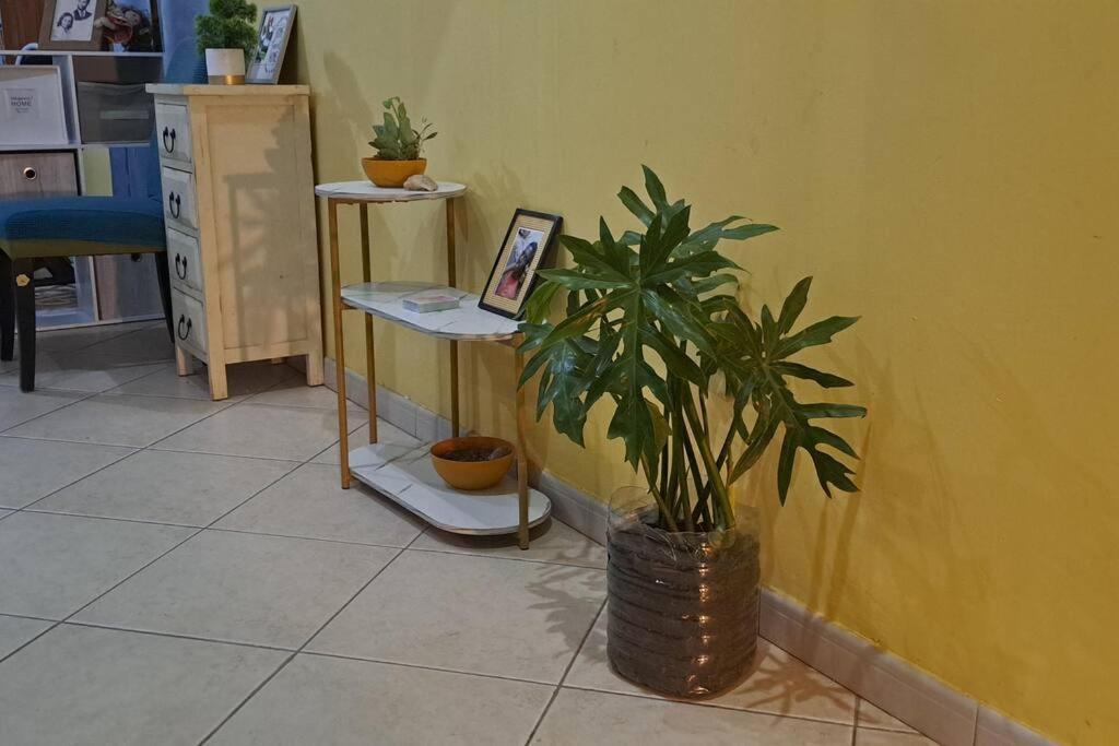 Mendes Family Homestay - B&B In The Heart Of Praia Exterior photo