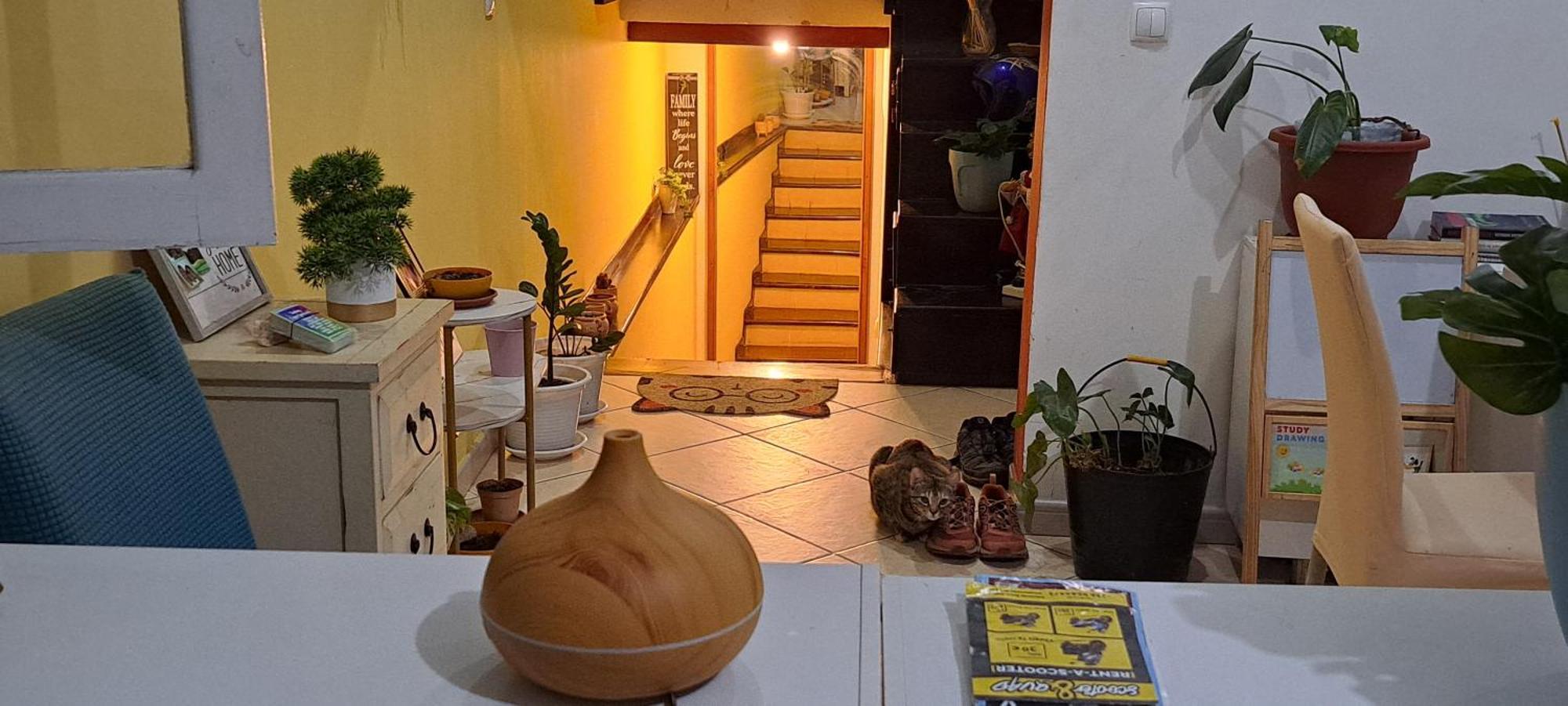 Mendes Family Homestay - B&B In The Heart Of Praia Exterior photo